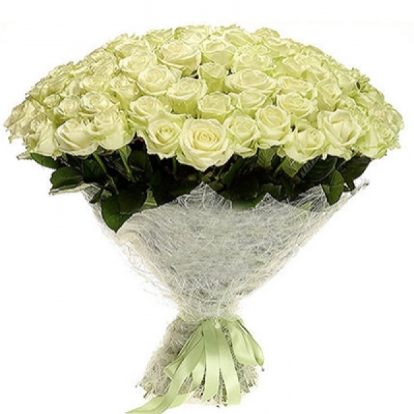 Bouquet of 71 White Roses Resim 1