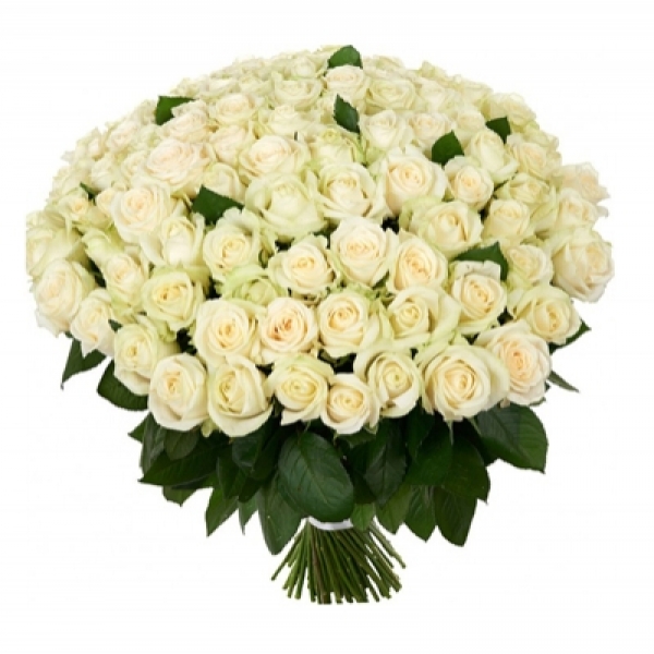 101 Pieces White Rose Bouquet Resim 1