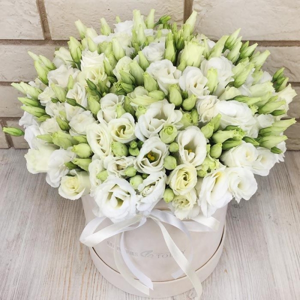 White Lisianthus in a Box Resim 1