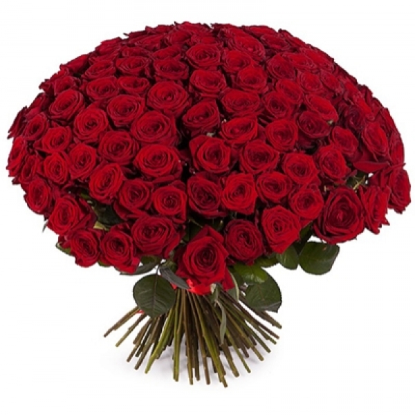 Букет из 201 красной розы Resim 1