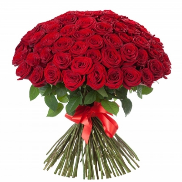 101 Red Roses Resim 1