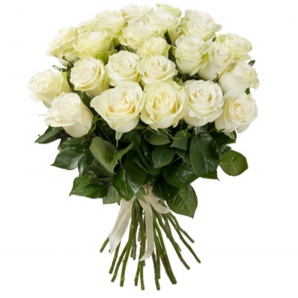 25 White Roses Resim 1