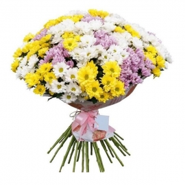 Turkey Florist 35 Branch Mixed Chamomile