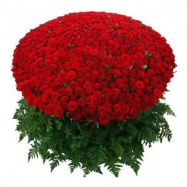  Turkey Flower Delivery 501 Red Roses